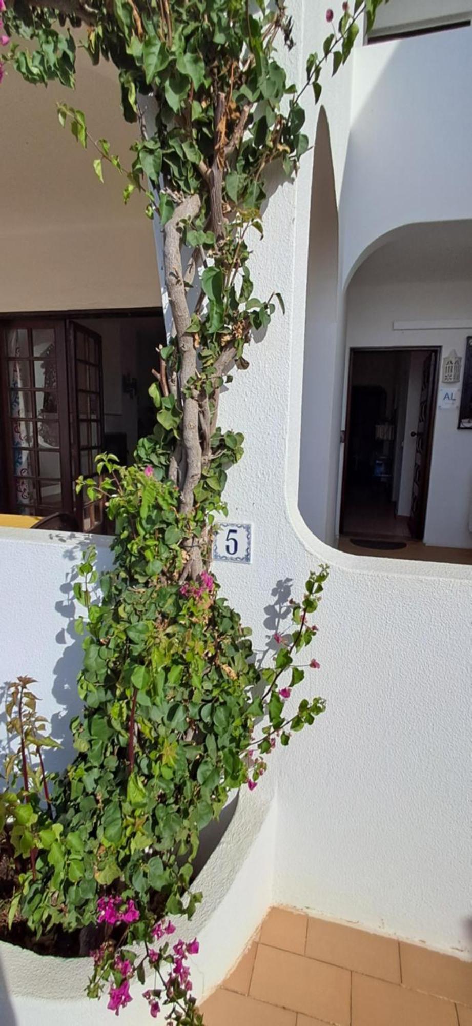 Apartamento Neptuno Benagil Exterior photo